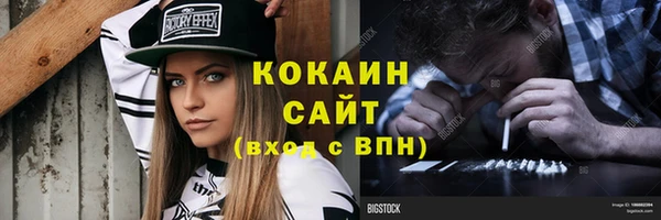 метадон Богданович