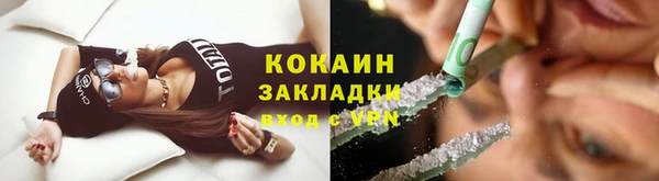 2c-b Богородицк