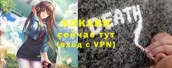метадон Богданович