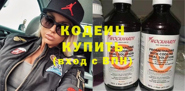 метадон Богданович