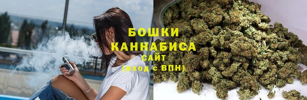 метадон Богданович