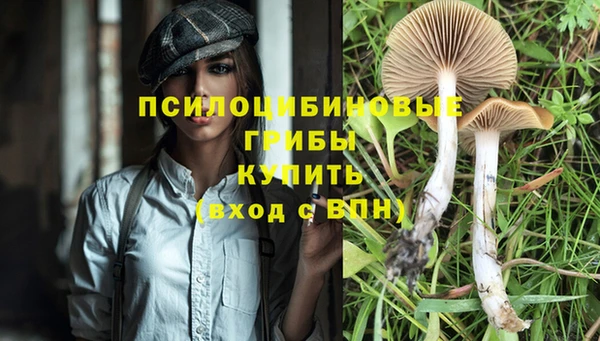 2c-b Богородицк
