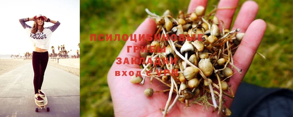 метадон Богданович